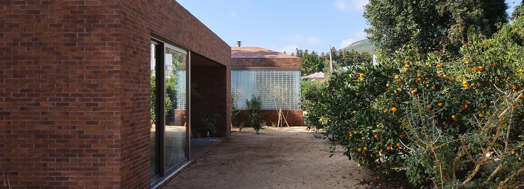 Galería 15